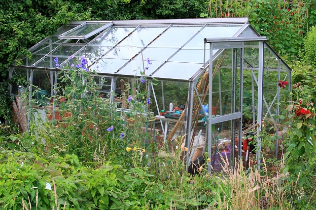 Greenhouse Glass
