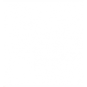 Decra Shining White 250mm 6m